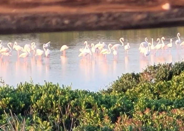 Mare Sole Vento 38 Punta Prosciutto בית נופש טורה קולימנה